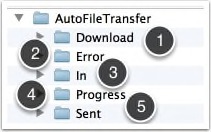 _images/autofilefolders.jpg